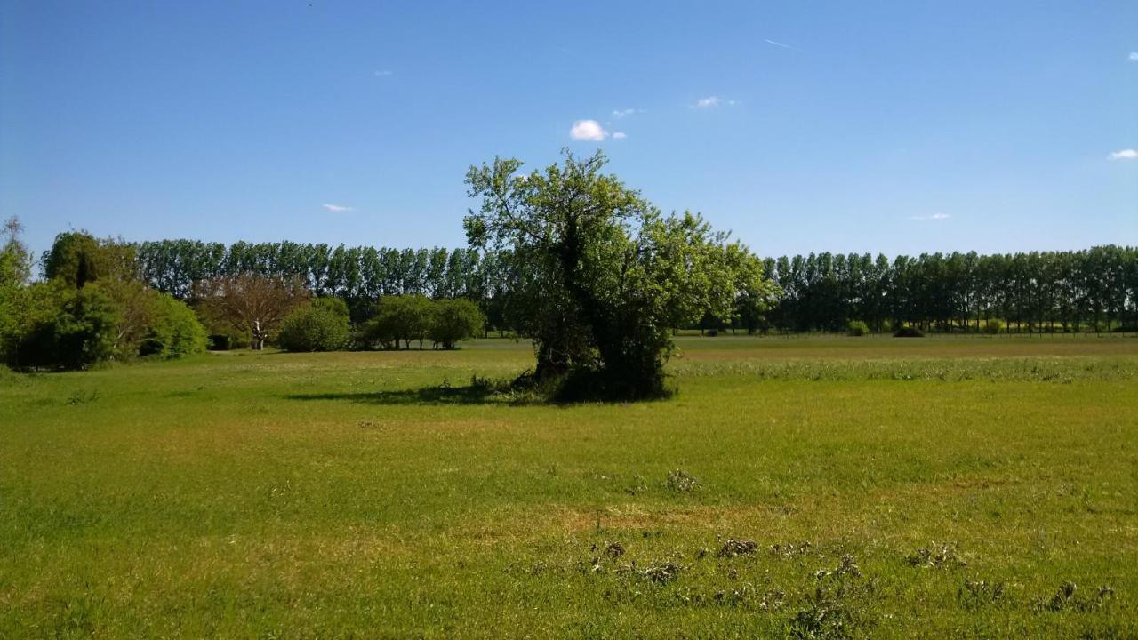Gite Et Chambres D'Hotes Le Chene Billault Pouant Bagian luar foto
